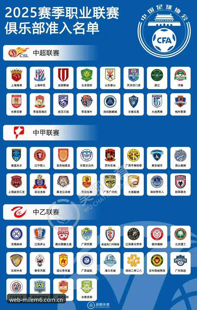 中国足协第三批禁足名单深度解析:从行业乱象看体育精神回归指南